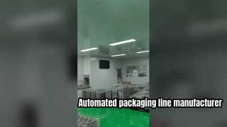 Dây chuyền đóng gói băng tải phòng sạch có độ chính xác cao của Coattech dành cho sản xuất tiên tiến